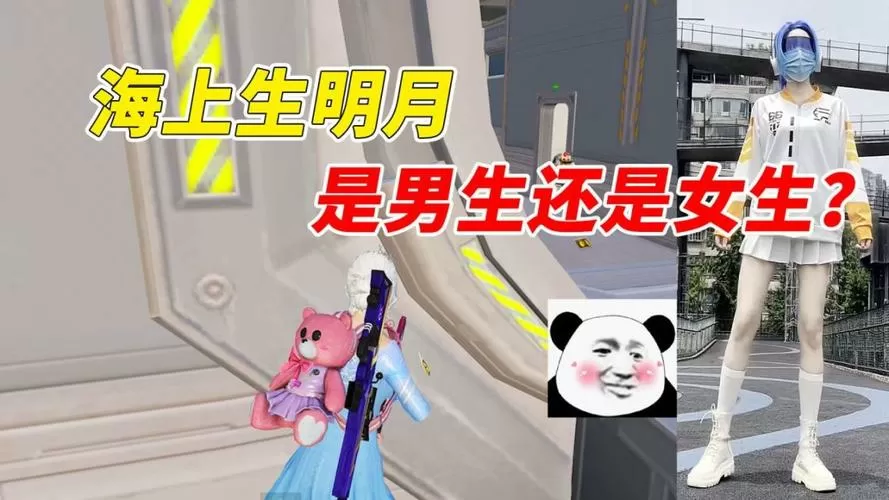 和平精英眀月解说
