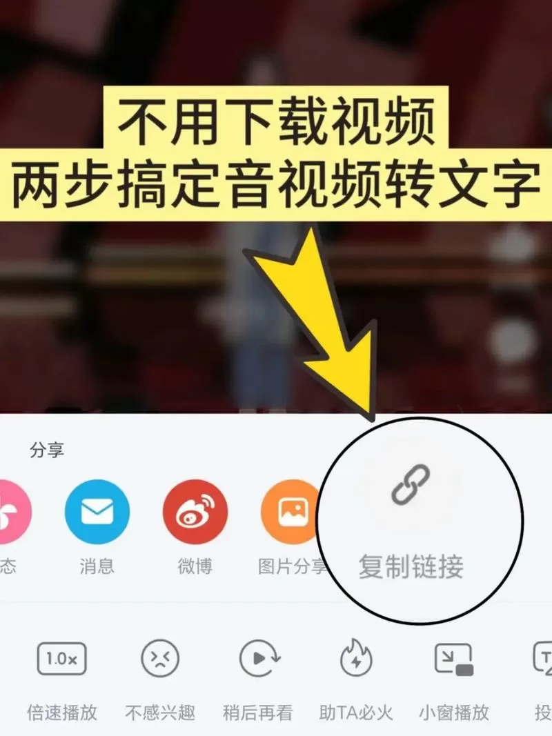网站视频下载不了怎么提取视频