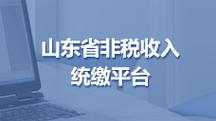 山东财政非税缴费