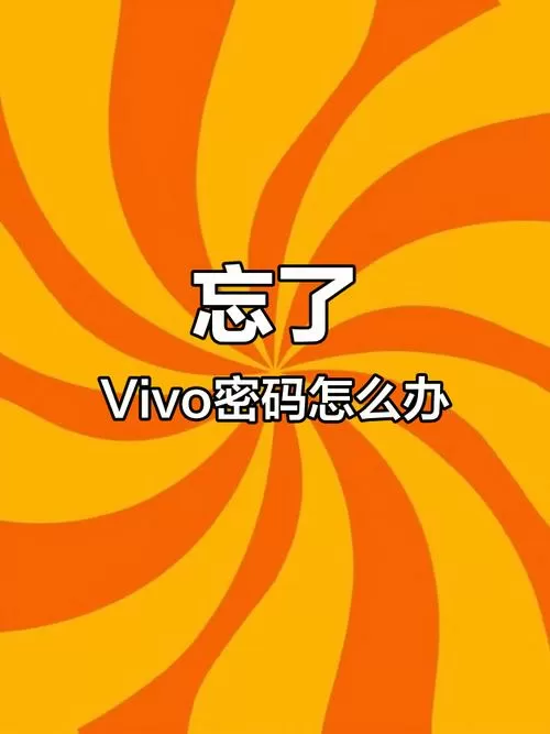 vivo手机自动保存密码在哪看
