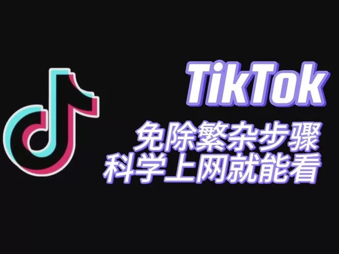 tiktok破解版无需拔卡图标