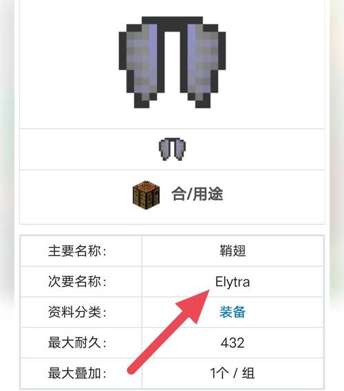 我的世界鞘翅英文