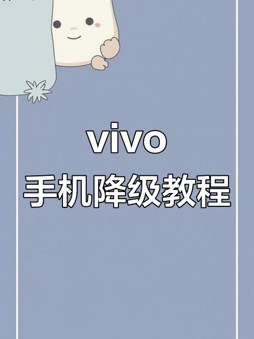 vivo手机如何降级旧版本