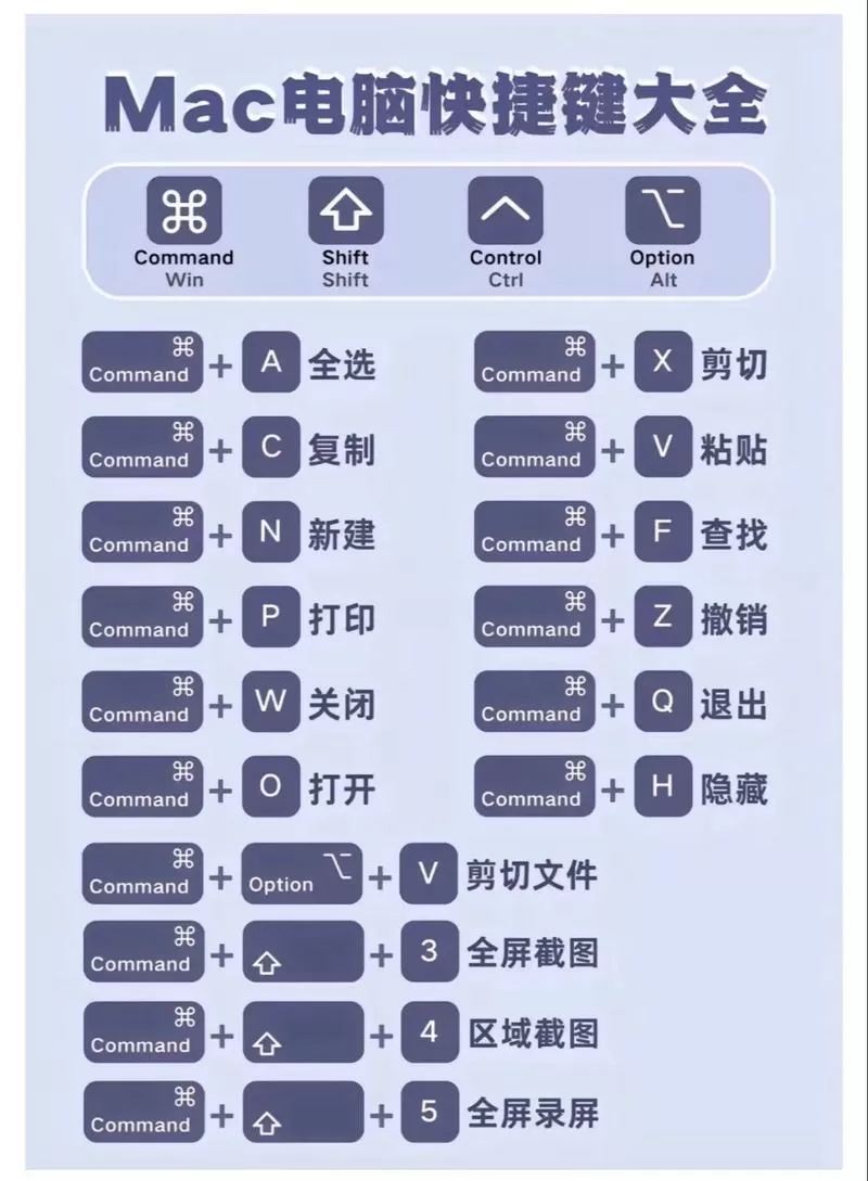 复制的快捷键是