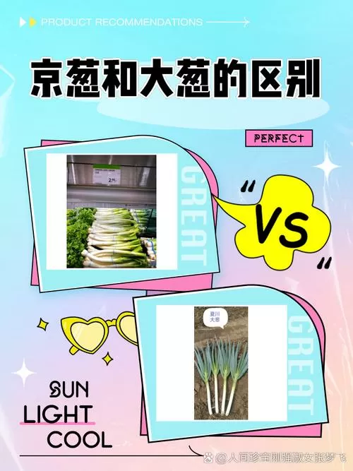 京葱和大葱有区别吗截图