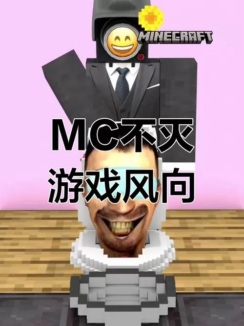 玩我的世界流量耗的多吗