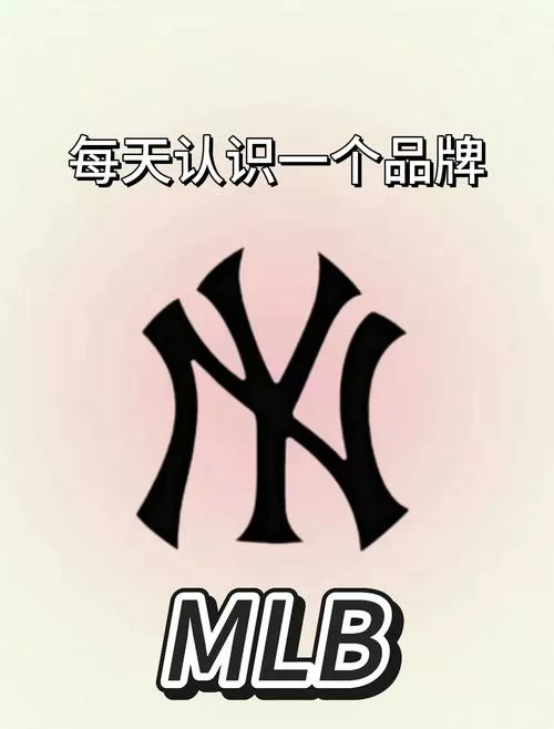 一条杠说明什么