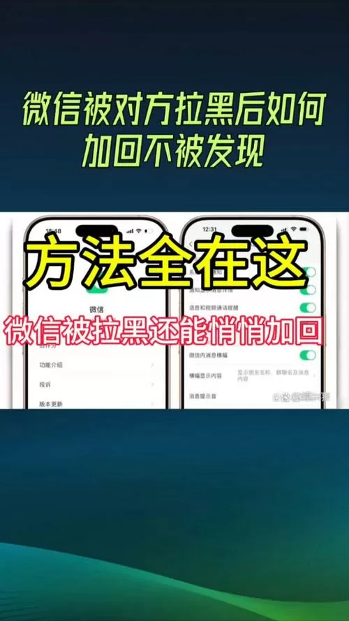 微信拉黑了怎么加回来