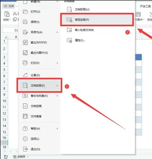 打开wps需要密码,怎样取消密码