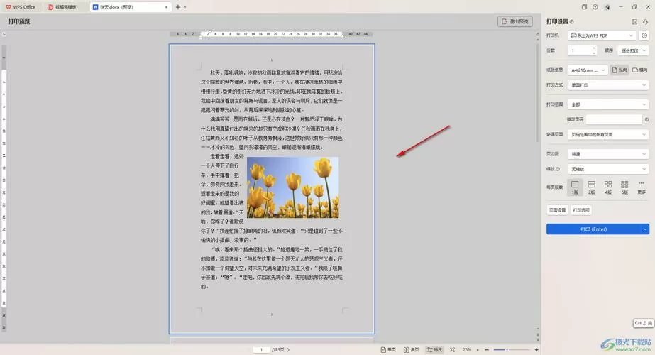 word有个淡淡的灰底怎么去掉