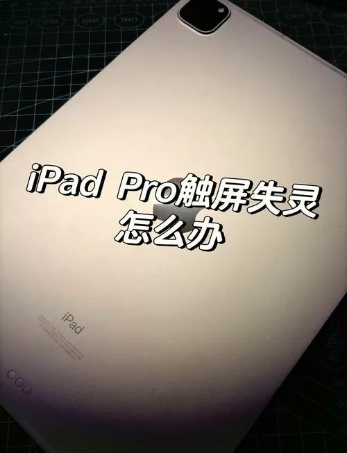 ipad 触屏失灵 无法重启