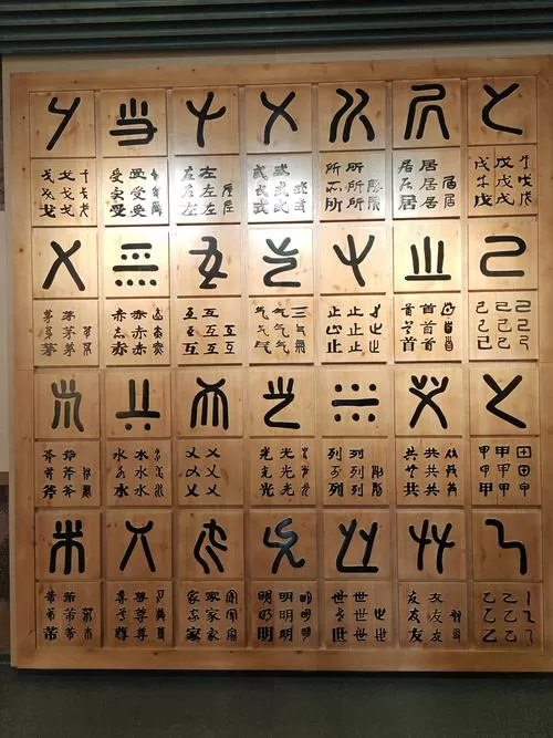 仓颉字根