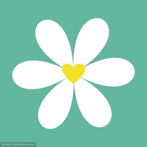 小菊花视频缩略图