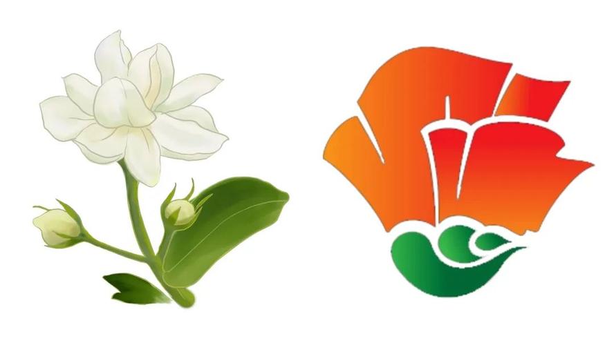 莉花视频截图