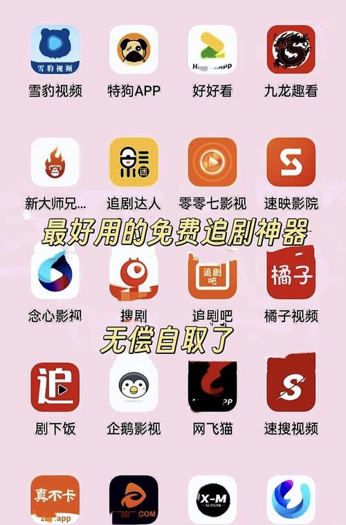 分母追剧
