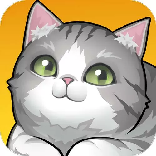 养了个猫2024最新版