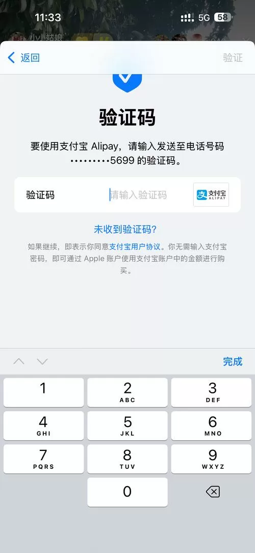 我的支付宝绑定了别人的手机号截图