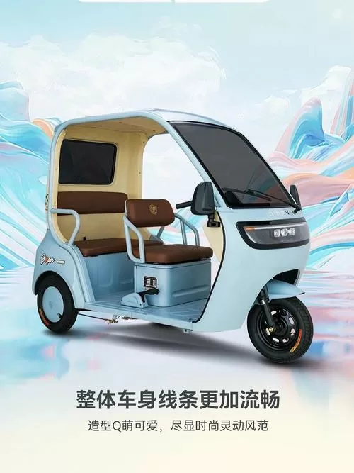电动三轮车十大品牌