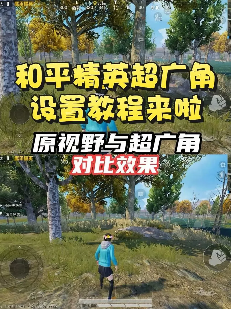 和平精英怎么设置看到全身