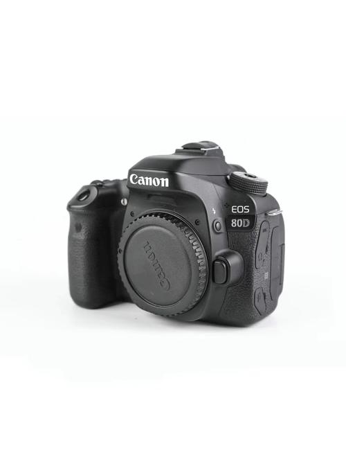 佳能80d游戏截图