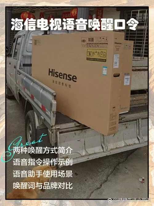 海信电视语音唤醒口令怎样设置缩略图