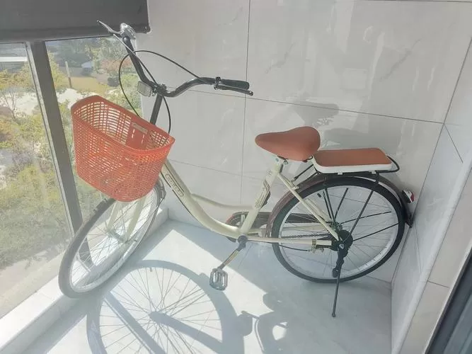 二手自行车50元一100元