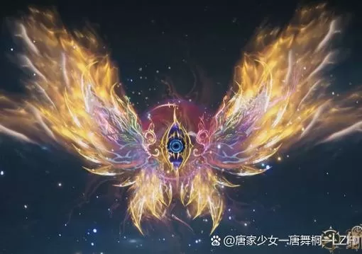 斗罗之冰魄斗罗
