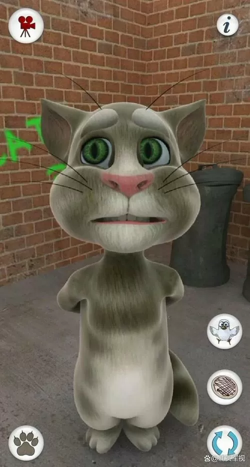 会说话的汤姆猫老旧版