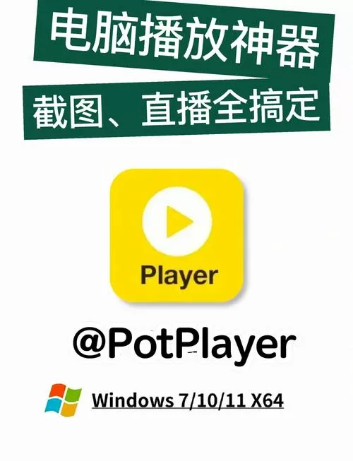 手机potplayer中文版