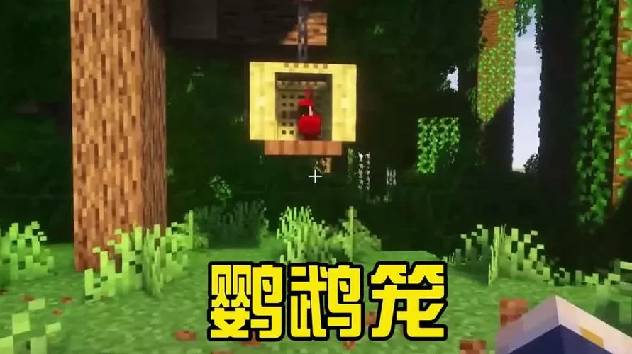 我的世界鹦鹉窝怎么建