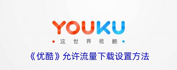 如何设置允许流量下载视频