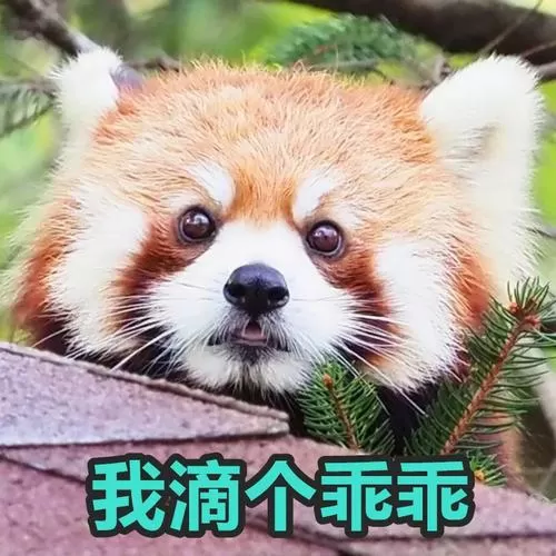 我滴个乖乖 电视剧图标