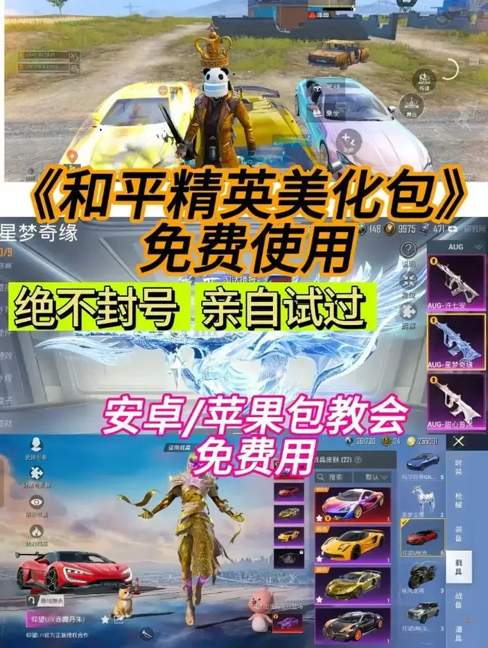 和平精英美化包免费下载无广告截图
