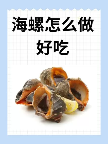 怎么把海螺肉取出来截图