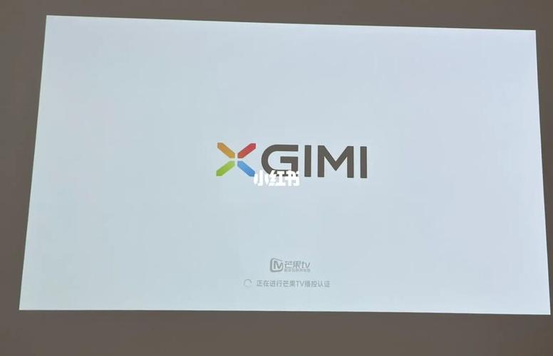 投影仪开机只显示logo