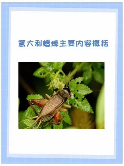 蟋蟀一年繁殖几次