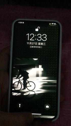苹果x出现闪屏乱跳