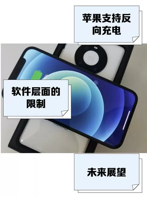 苹果手机支持反向充电功能吗截图