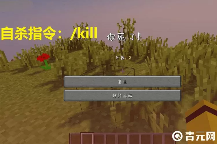 MC紫砂指令