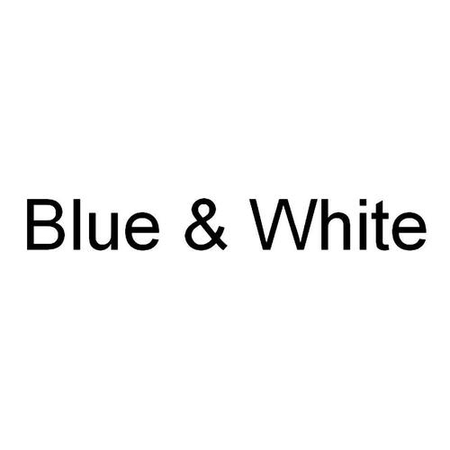 whiteblue安卓版截图