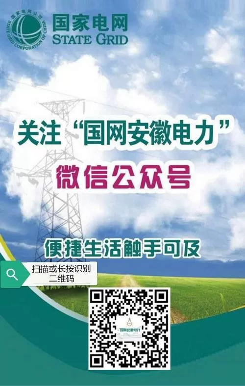 国网安徽电力缴费户号账号截图