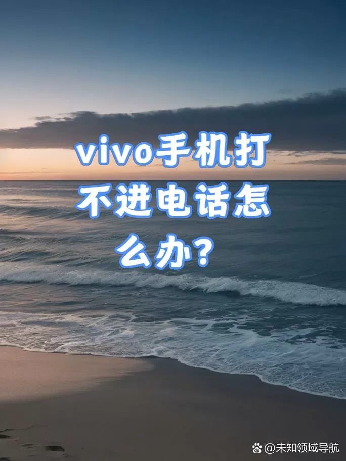 vivo手机电话打不出去也打不进来