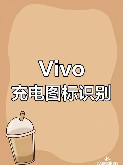 vivo闪充和快充的图标区别