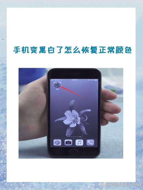 vivo手机色彩怎么调整黑白截图