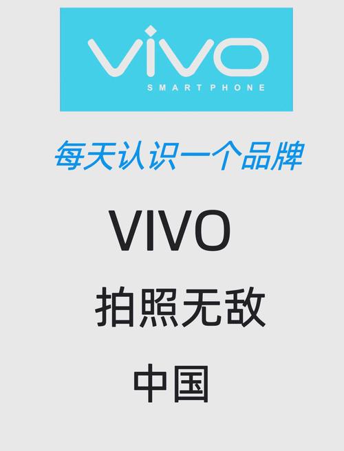 vivo电子书历史版本