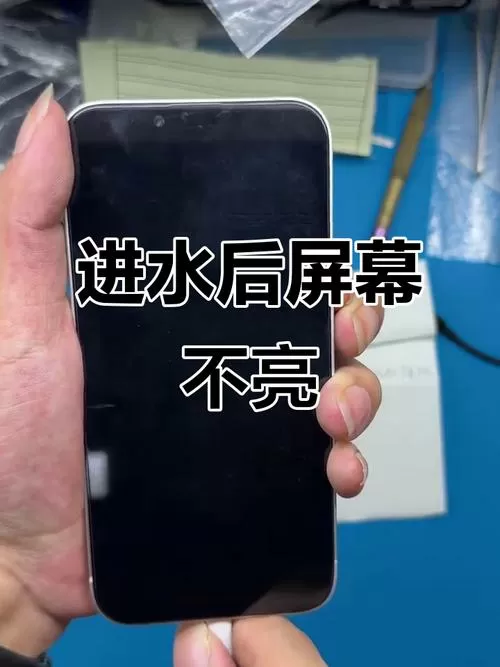 手机进水黑屏能自动恢复正常吗
