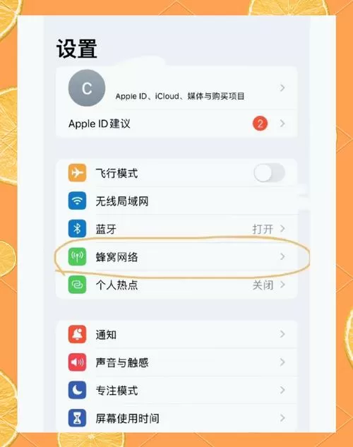 苹果手机双卡双待怎么设置