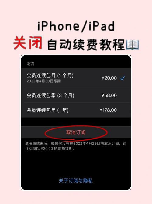苹果平板怎么取消自动续费截图