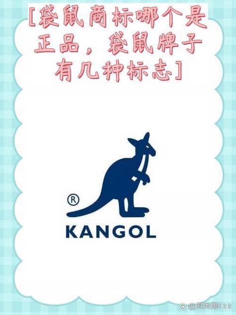 袋鼠加速器怎么下载图标