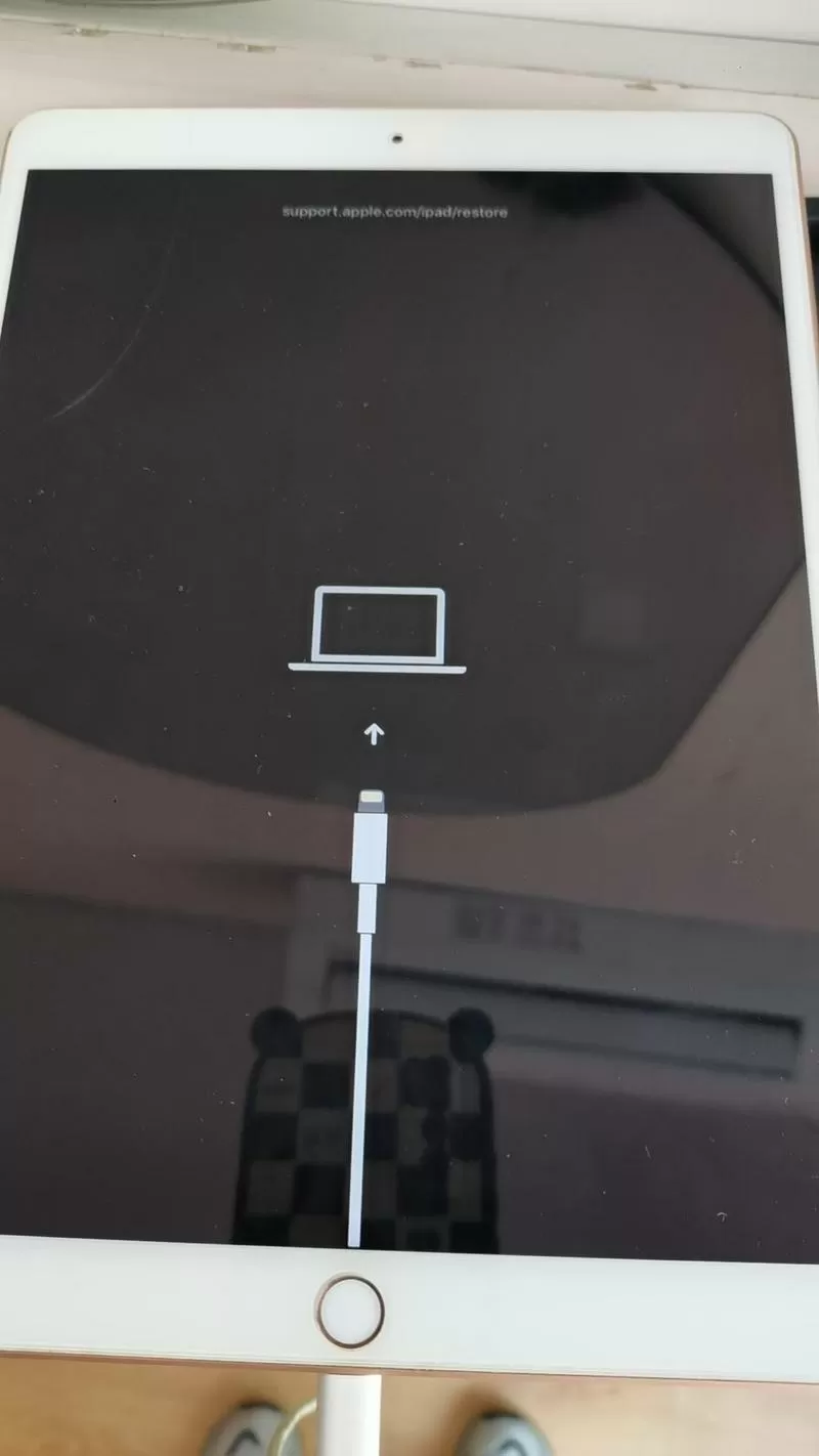 ipad充电屏幕出现一根电源线